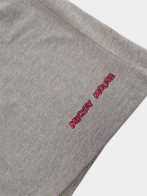 Низ піжами H&M модель 9968324wer_Серый Фото