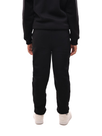 Штаны спортивные STREAM модель 698122 Фото