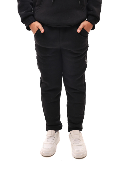 Штаны спортивные STREAM модель 698122 Фото