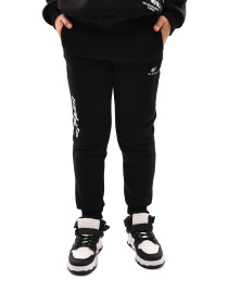 Штаны спортивные STREAM модель 698036 Фото