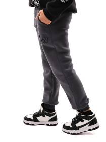 Штаны спортивные STREAM модель 698609 Фото