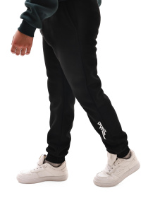 Штаны спортивные STREAM модель 693347 Фото