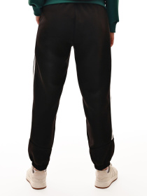 Штаны спортивные BE FAB модель 703810 Фото