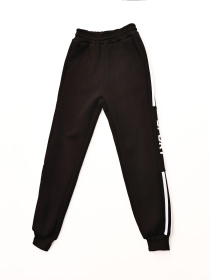 Штаны спортивные STREAM модель 694899 Фото