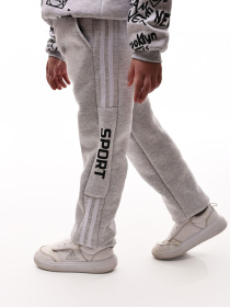 Штаны спортивные STREAM модель 694900 Фото