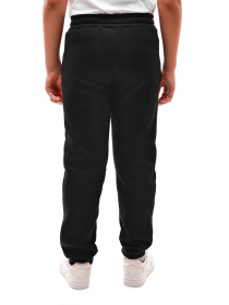 Штаны спортивные НАРЦИС модель 693935 Фото