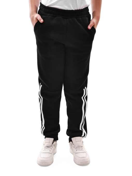 Спортивні штани НАРЦИС модель 693935 Фото