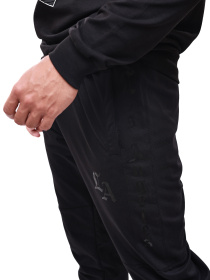 Брюки спортивные мужские Чёрный STREAM модель 686834 Фото