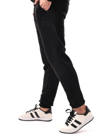 Штаны спортивные ЛОТОС модель 693480 Фото