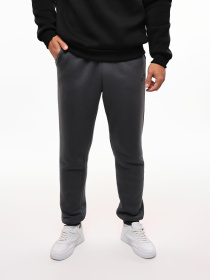 Штаны спортивные STREAM модель 694275 Фото