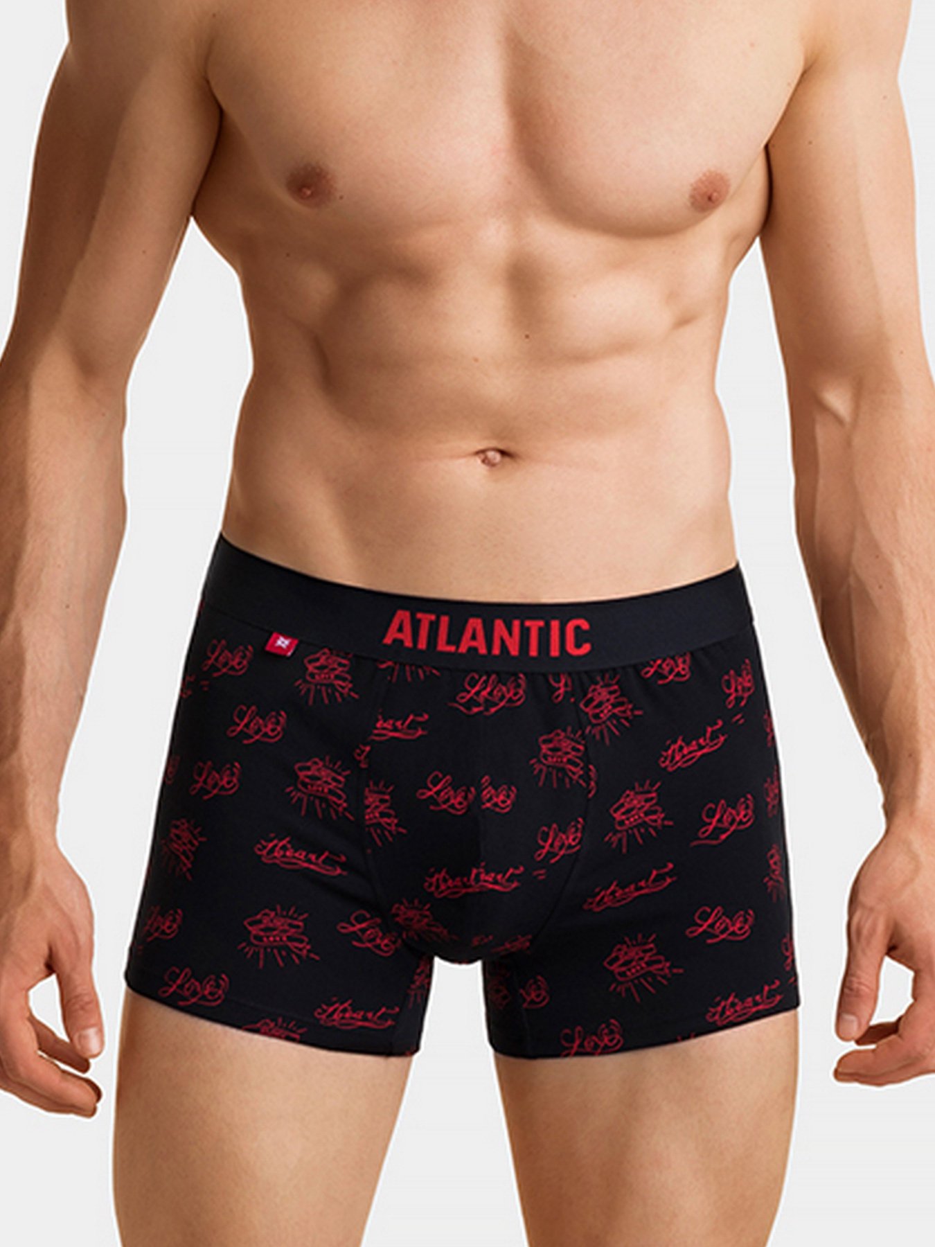 Набір трусів Atlantic модель 2GMH-004 Фото