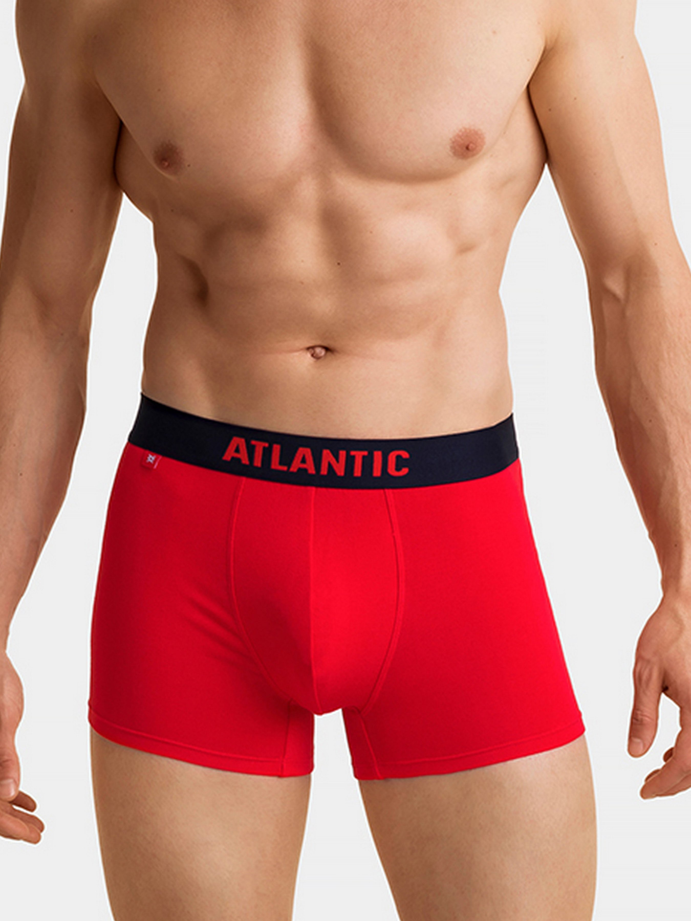 Набір трусів Atlantic модель 2GMH-005 Фото