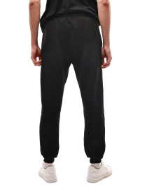 Спортивні штани STREAM модель 699232 Фото