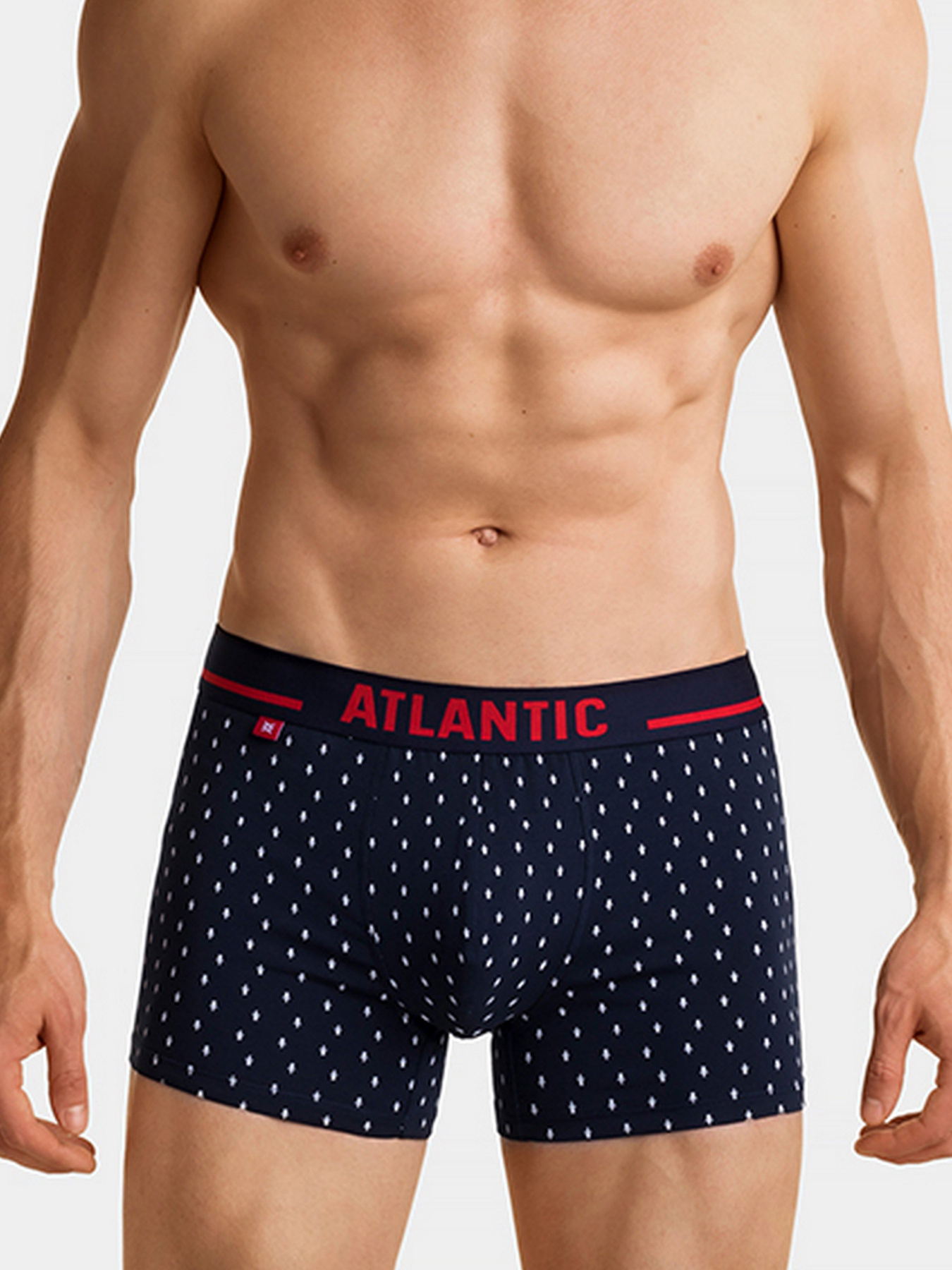 Набір трусів Atlantic модель 2GMH-007 Фото