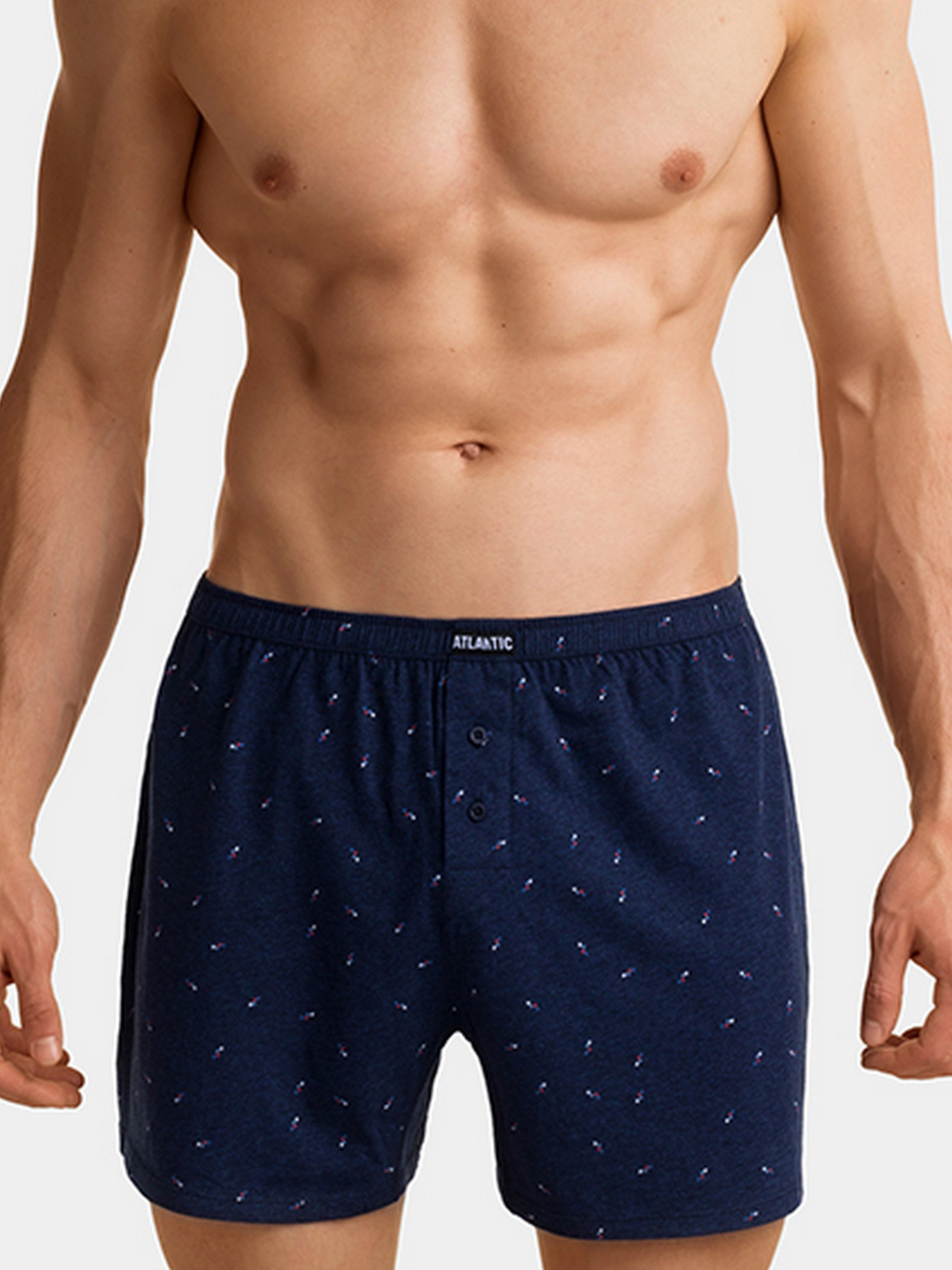 Набір трусів Atlantic модель 2MBX-013_SZMC_GRM Фото