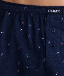 Набір трусів Atlantic модель 2MBX-013_SZMC_GRM Фото