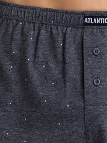 Набор трусов Atlantic модель 2MBX-017_GRA_GRA Фото