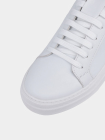 Кеды низкие Attizzare модель 352 Фото