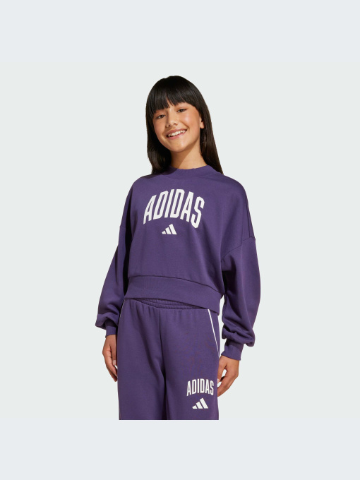 Худи и свитшоты Adidas модель JV7379-KZ Фото