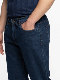 Джинсы Arber модель M16.05.09.531 Фото