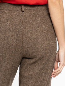 Класичні штани Arber модель W01.24.39.534 Фото