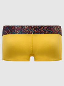Трусы Geronimo модель 1952b2_19526_yelow Фото