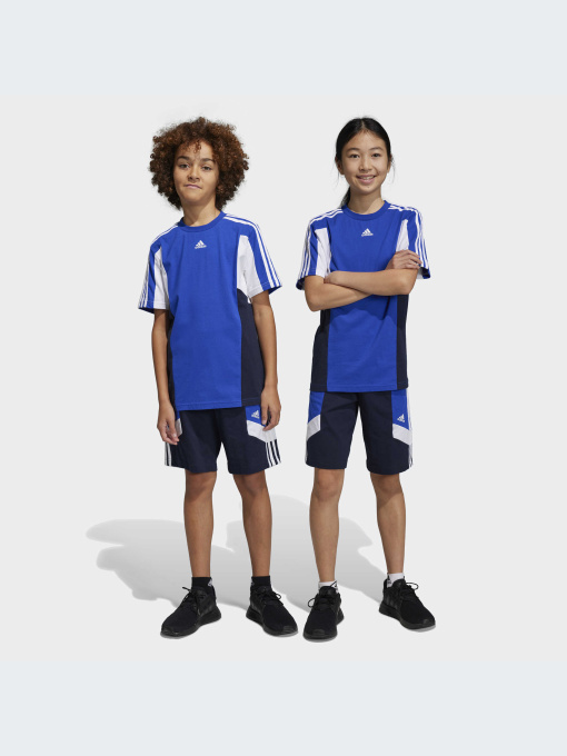 Шорты Adidas модель IC5631-KZ Фото