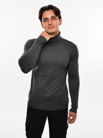 Водолазка STREAM модель 689135 Водолазка STREAM модель 689135 Фото