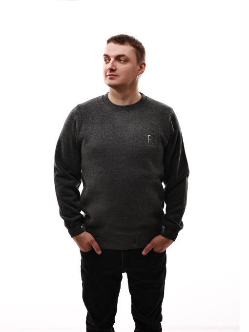 Свитшот мужской Серый STREAM модель 690246 Фото