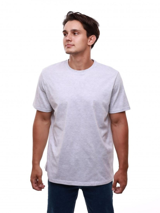 Футболка мужская Светло-серый BEKI модель 689744 Фото