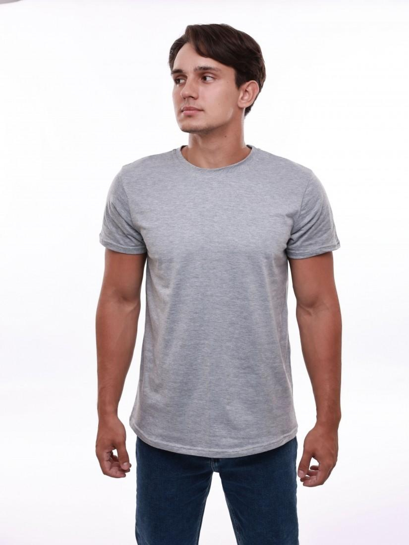 Футболка мужская Светло-серый STREAM модель 693695 Фото