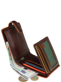 Гаманець Visconti Morgex модель ALP93 BRN Фото