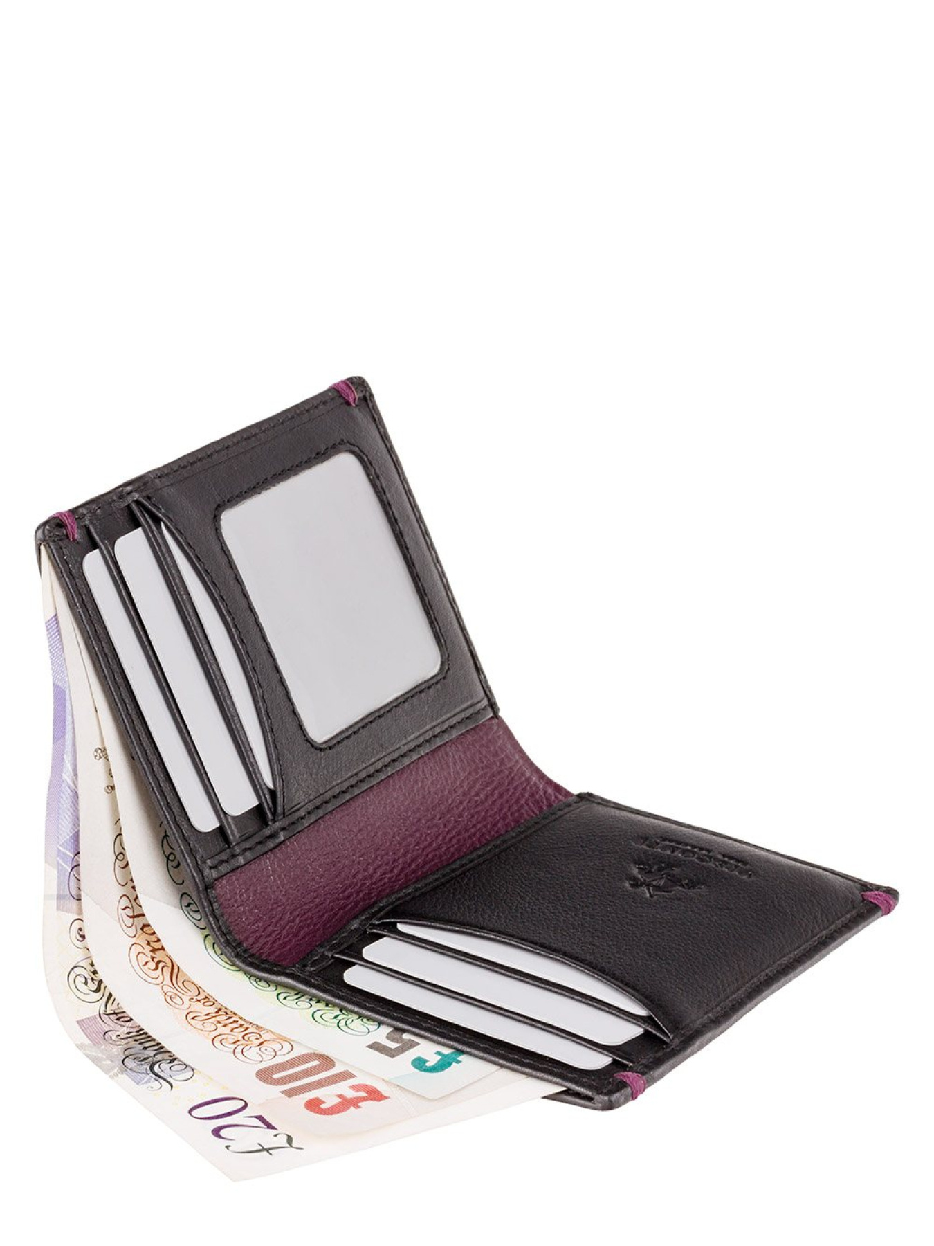 Гаманець Visconti Thun модель AP60 BLK/BG Фото