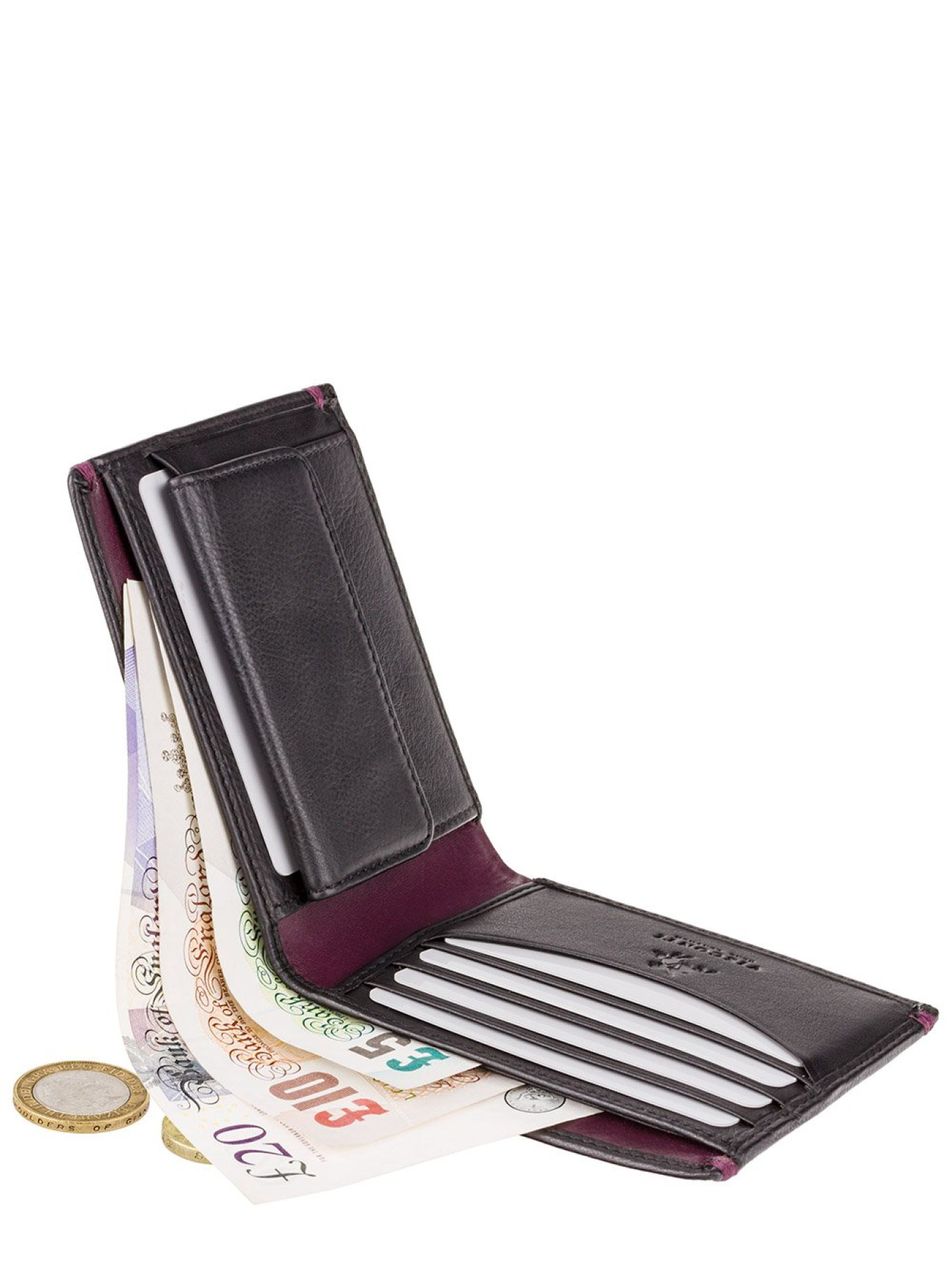 Гаманець Visconti Montreux модель AP62 BLK/BG Фото