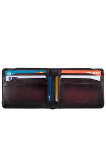 Портмоне Visconti модель MT90 B/BG Фото