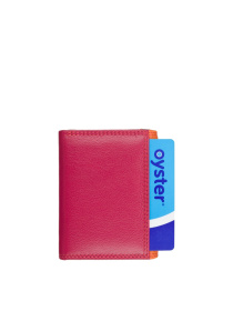 Портмоне Visconti модель RB126 ORG M Фото