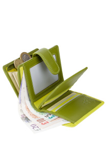 Портмоне Visconti модель RB40 LIME M Фото