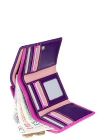 Портмоне Visconti модель RB43 BERRY M Фото