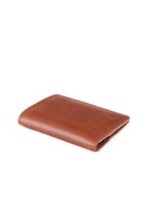 Портмоне Visconti модель TSC39 TAN Фото