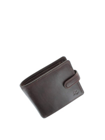 Портмоне Visconti модель TSC41 BRN Фото