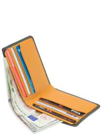 Гаманець Visconti модель VSL42 GREY/MUST Фото