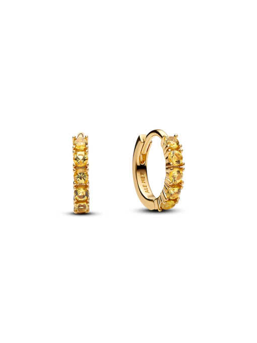 Серьги-кольца PANDORA Timeless модель 263849C01 Фото