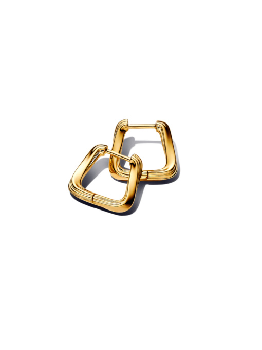 Серьги-кольца PANDORA Essence модель 263875C00 Фото