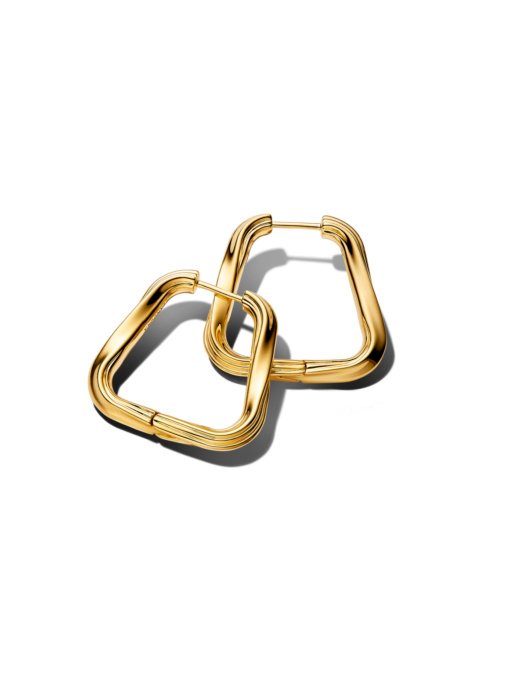 Серьги-кольца PANDORA Essence модель 263876C00 Фото