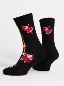 Шкарпетки Giulia модель UP-00003175 Шкарпетки Giulia модель UP-00003175 Фото