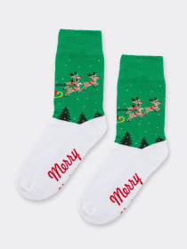 Носки Giulia модель UP-00003178 Фото