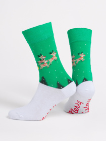 Шкарпетки Giulia модель UP-00003178 Шкарпетки Giulia модель UP-00003178 Фото