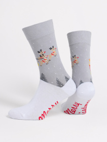 Шкарпетки Giulia модель UP-00003178 Шкарпетки Giulia модель UP-00003178 Фото