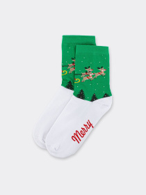 Шкарпетки Giulia модель UP-00003184 Фото