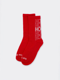 Шкарпетки Giulia модель UP-00003185 Фото